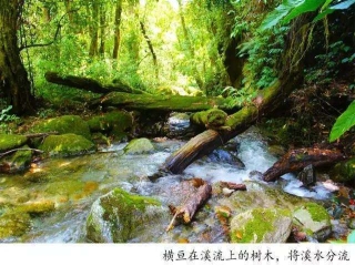 騰沖戶外徒步丨林家鋪，剛好18°C